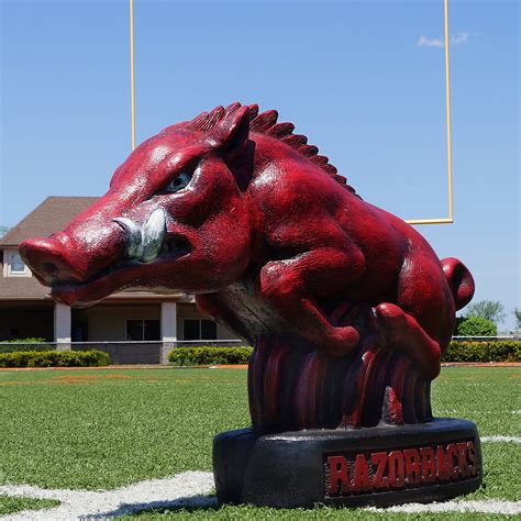 The Razorbacks Arkansas Mascot: A Symbol of Team Unity
